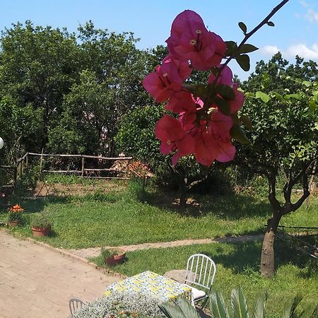 B&B Casa Gemma 라메지아 테르메 외부 사진