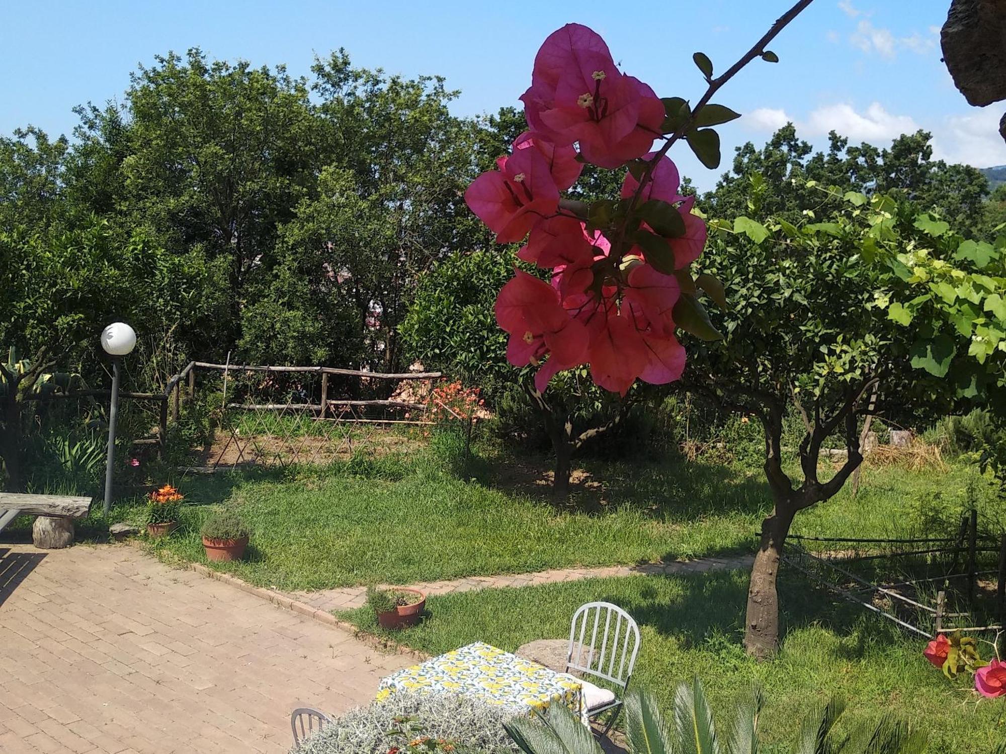 B&B Casa Gemma 라메지아 테르메 외부 사진